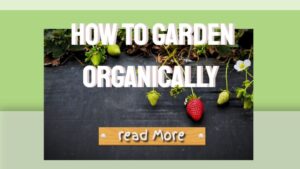 garden organically