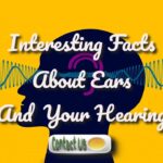 interesting ear facts