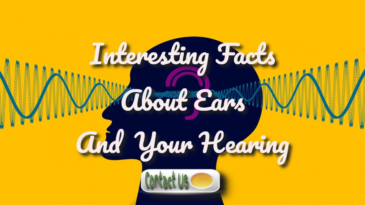 interesting ear facts