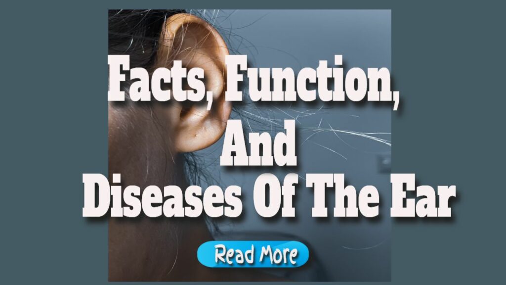 facts function and diseases of the ear