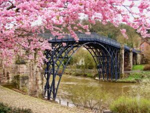 landscape with cherry trees