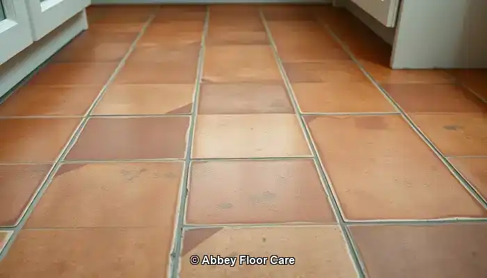 What Factors Lead to Quick Dirt Accumulation on Terracotta?
